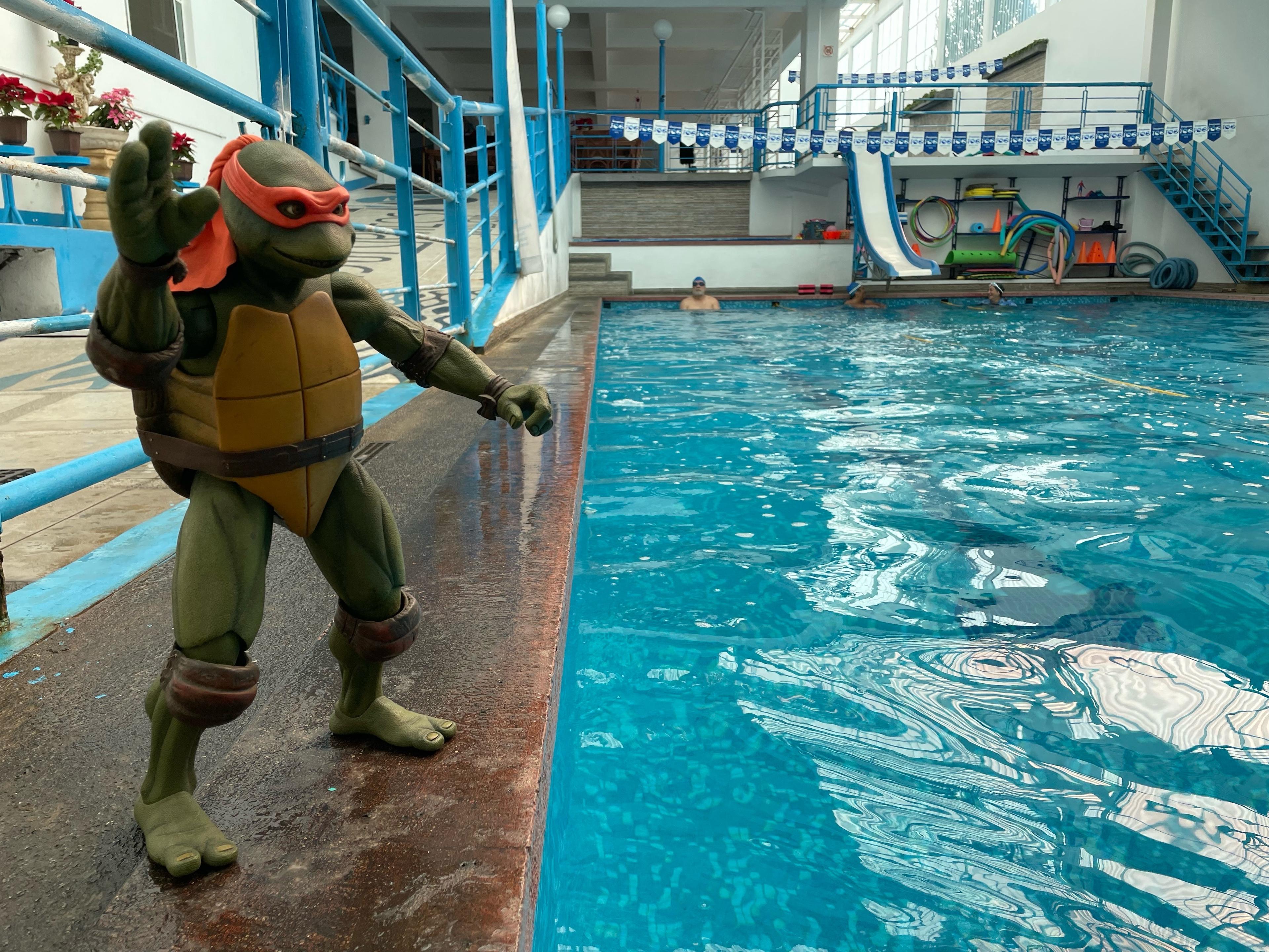 cover